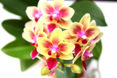 article image - 